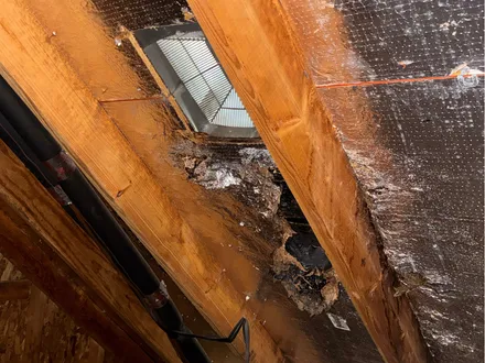 Leak in attic under roof vent one — emergency tarping in Katy & Greater Houston