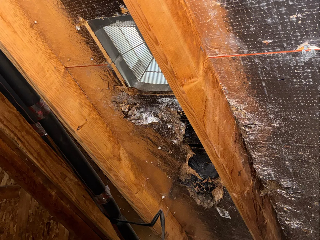 How to Spot Hail Damage on Your Roof in Houston (2026 Guide)