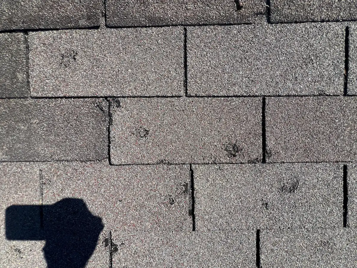 Hail bruising and granule loss on a Houston-area roof