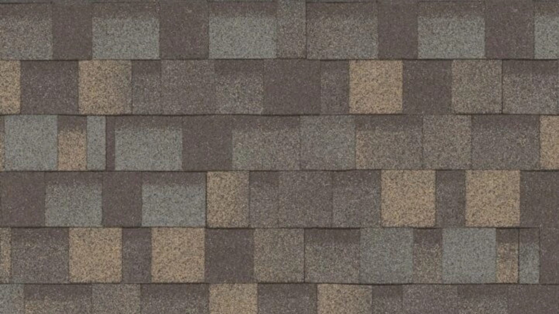 Dynasty® - Color 1